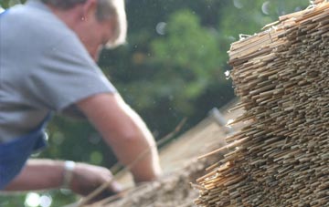 professional Muness thatchers